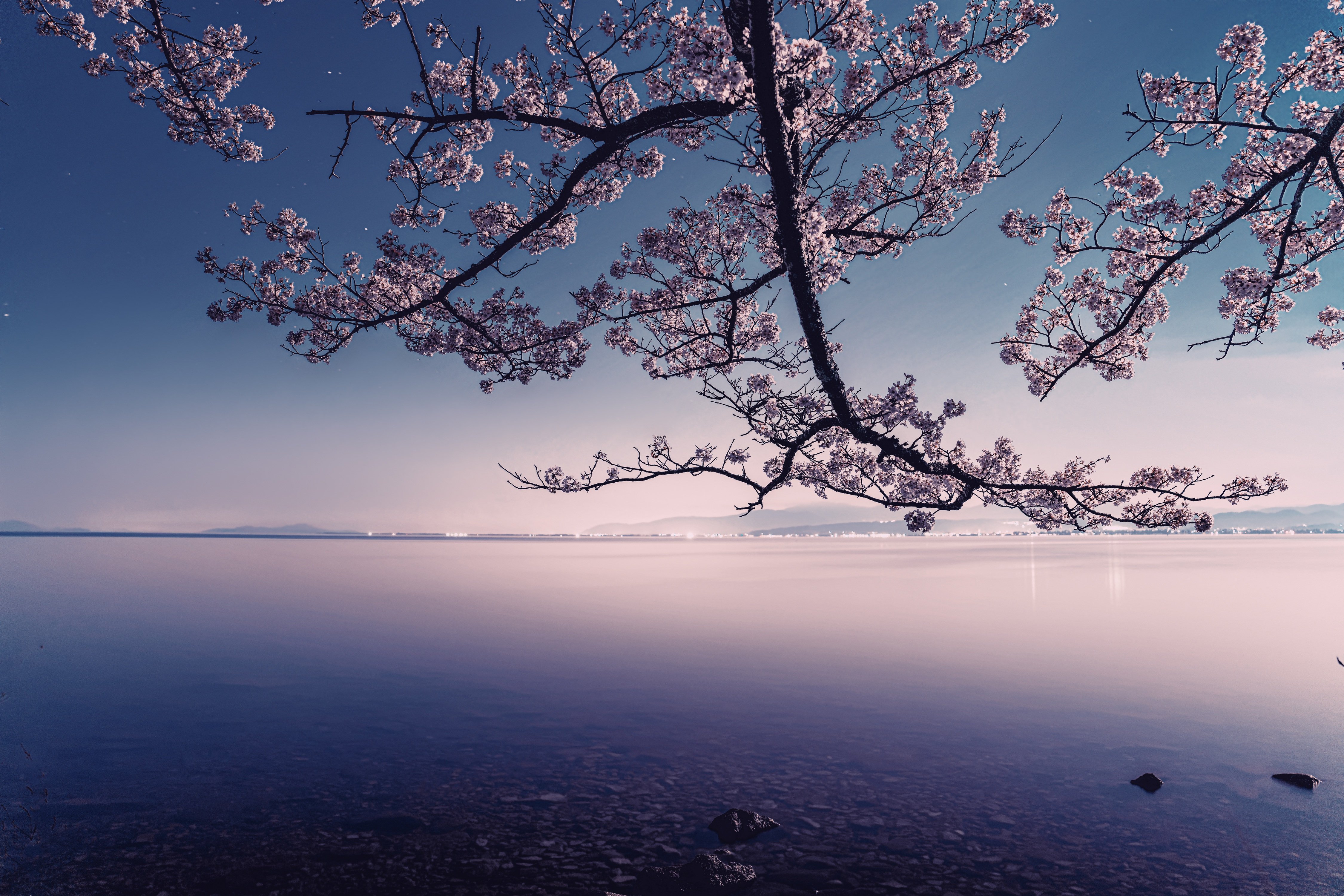 穏やかな日本の風景
